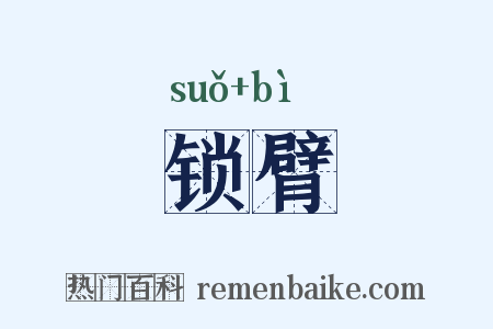 锁臂是什么意思的图片